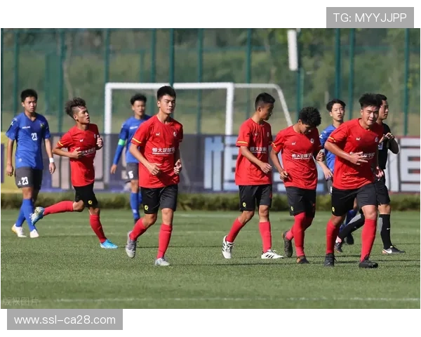 德甲中游球队计划夏季亚洲行，开拓国际市场