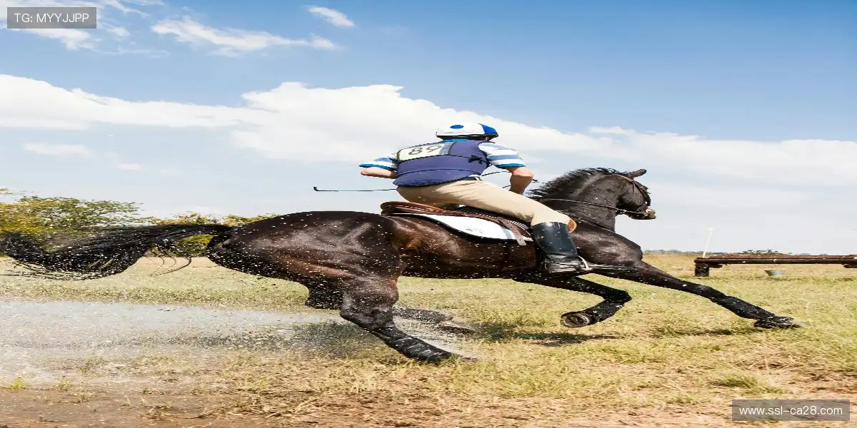 锐不可当，挥斥方遒！🌟